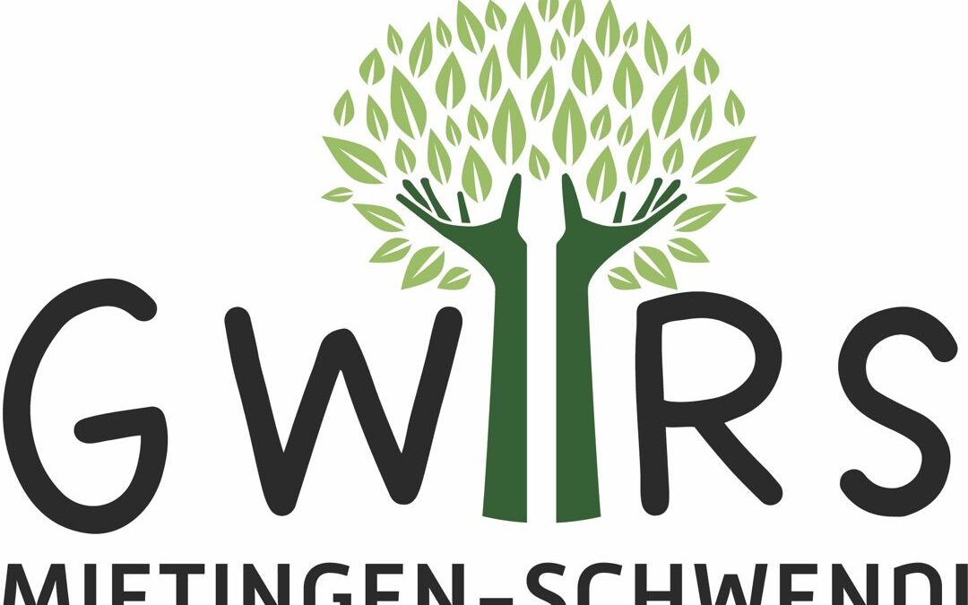 Infonachmittage 31.1.25 und 7.2.25